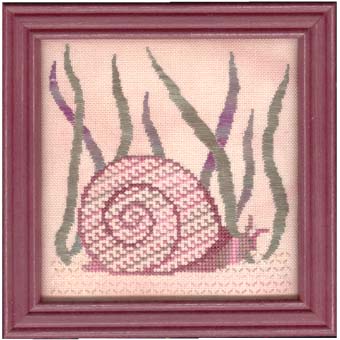 All Wet - Snail Stroll