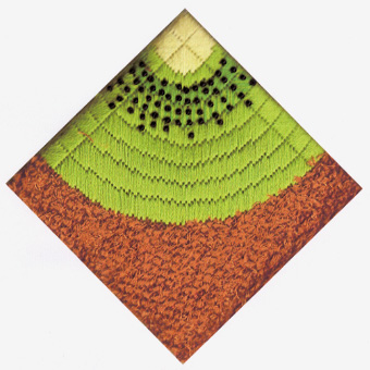 Fruit Slices - Kiwi Fruit Slices - Kiwi