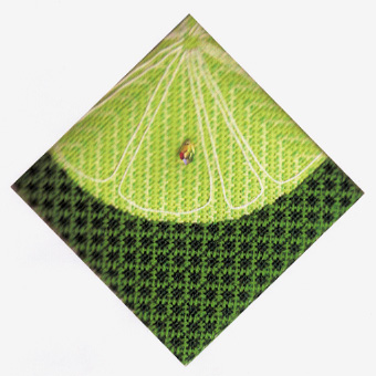 Fruit Slices - Lime Fruit Slices - Lime