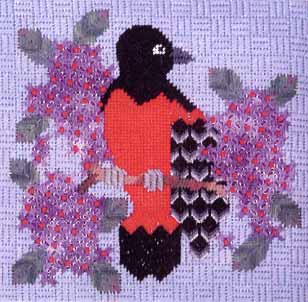 Red & Black Bird #3 - Baltimore Oriole