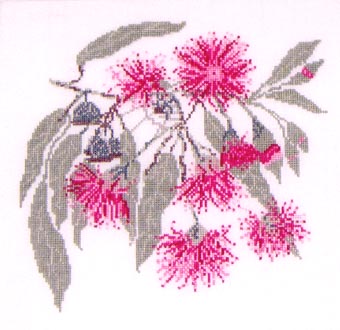 Pink Flowering Gum (cross stitch)