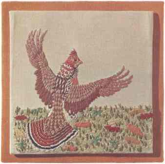 #405 Ruffed Grouse -- click for an enlarged view #405 Ruffed Grouse