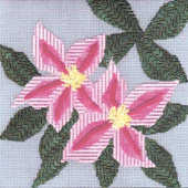 Petite Petals - Pink -- click for an enlarged view