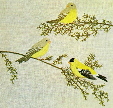#47 - Goldfinches